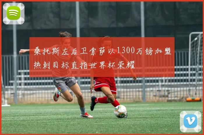桑托斯左后卫索萨以1300万镑加盟热刺目标直指世界杯荣耀