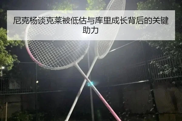 尼克杨谈克莱被低估与库里成长背后的关键助力（9BOSPORTS）